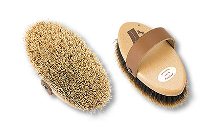 horse head brush
